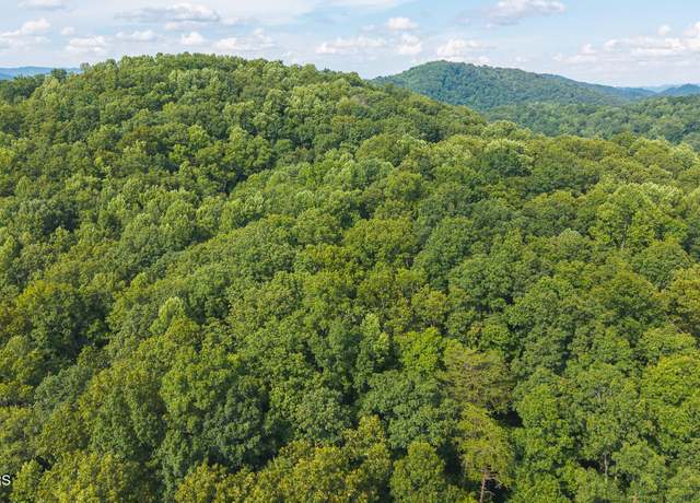 Property at 0 Gravely Valley Rd, Eidson, TN 37731