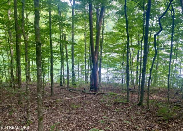 Property at Lot #130 Hickory Pointe Ln, Maynardville, TN 37807