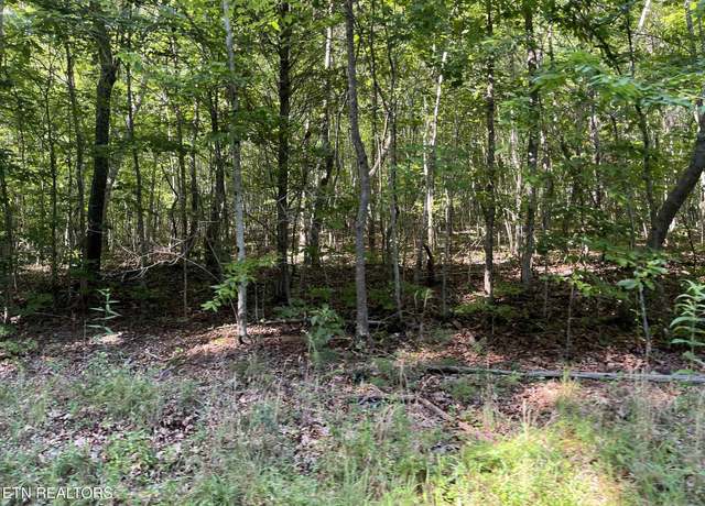 Property at Lot 1 Keylon Hollow Rd, Ten Mile, TN 37880