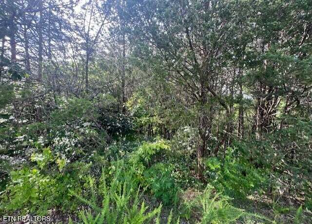 Property at LOT 30 Driftwood Cir, Sevierville, TN 37876