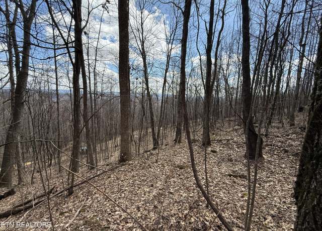 Property at TBD Mountain Springs Rd, Rose Hill, VA 24281