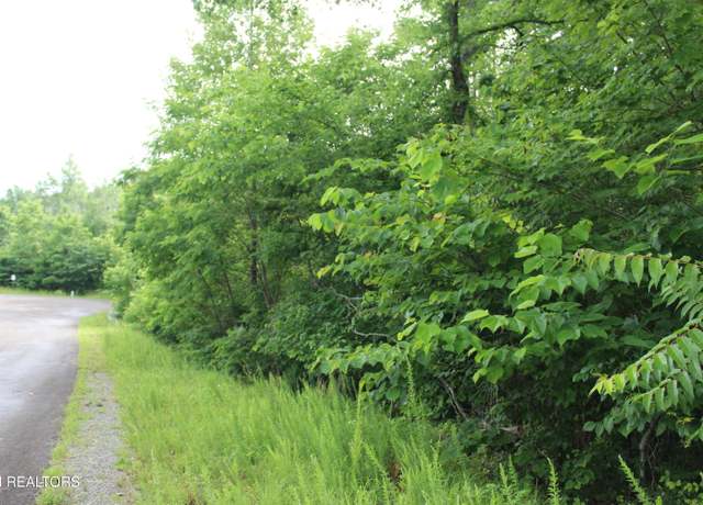 Property at Graphite Ct, New Tazewell, TN 37825