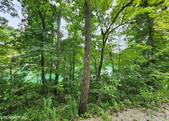 Property at Carp Ln, Lafollette, TN 37766