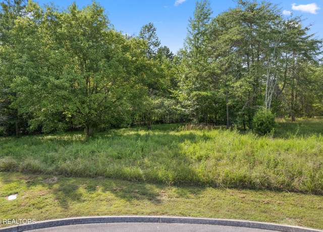 Property at Lot 77 Creekside Dr, Harriman, TN 37748