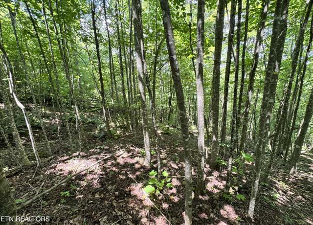 Property at Key Ridge Ln, Crawford, TN 38554