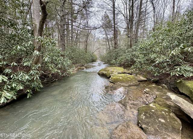 Property at Wolf Creek Rd, Robbins, TN 37852