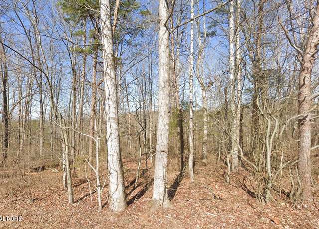 Property at 115 Chanusi Way, Loudon, TN 37774