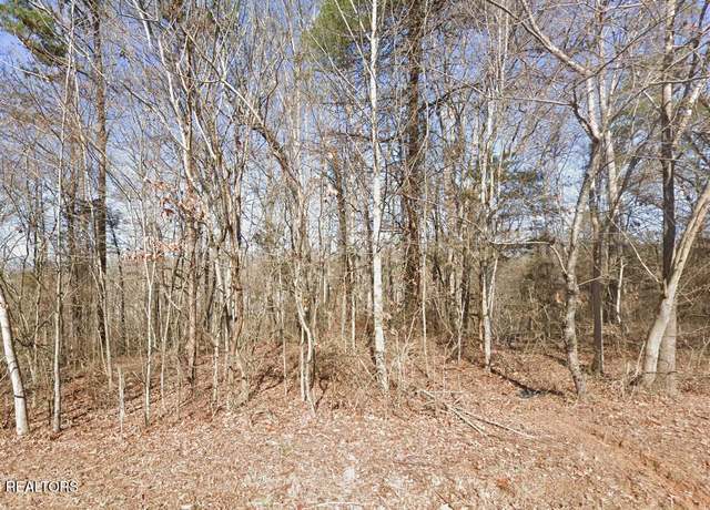 Property at 113 Chanusi Way, Loudon, TN 37774