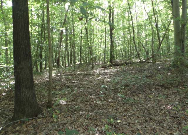 Property at 75.54ac Denton Rd, Moss, TN 38575