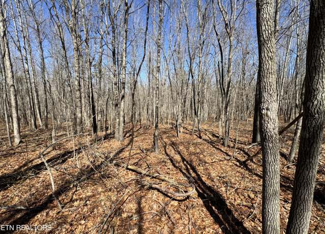 Property at Veterans Lookout, Wilder, TN 38589