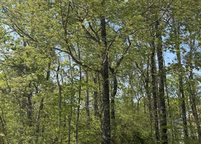 Property at 443 Kahite Trl, Vonore, TN 37885