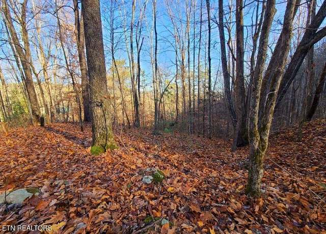 Property at Lot 9 Walden Flats Way, Sevierville, TN 37862