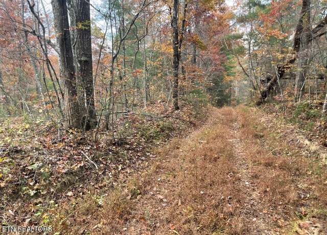 Property at Gunter Pl, Sunbright, TN 37872