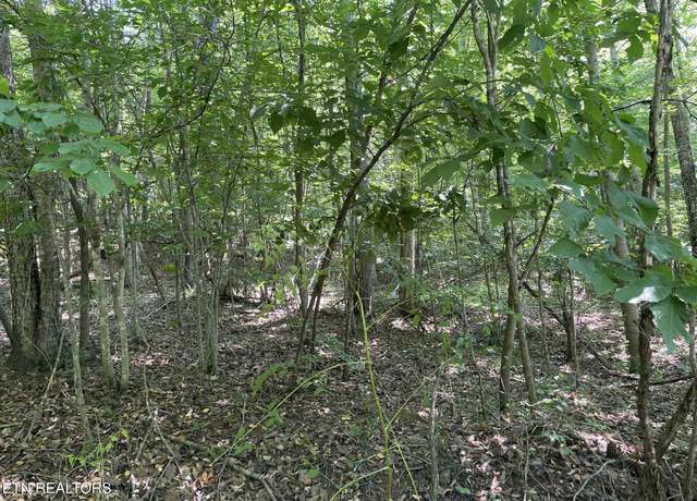Property at Lot 532 Whistle Valley Rd, New Tazewell, TN 37825