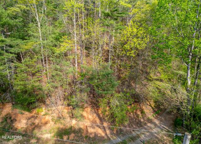 Property at 240 Mt. Luke Rd, Townsend, TN 37882