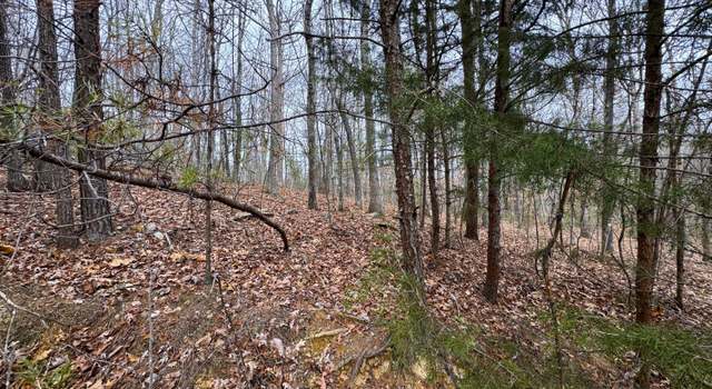 Photo of Lot 44 Zuni Way, Del Rio, TN 37727