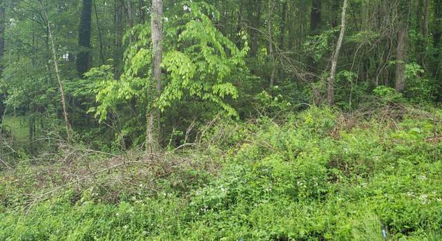 Photo of Cedar Cir, Jacksboro, TN 37757
