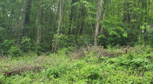 Photo of Cedar Cir, Jacksboro, TN 37757