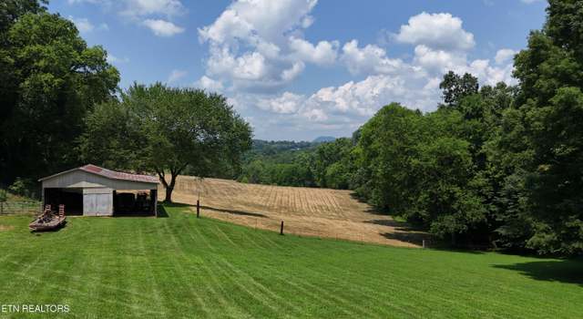 Photo of Collins Rd, Blaine, TN 37709