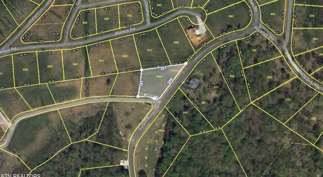 Photo of 0 Sunfish Ln, Hilham, TN 38568