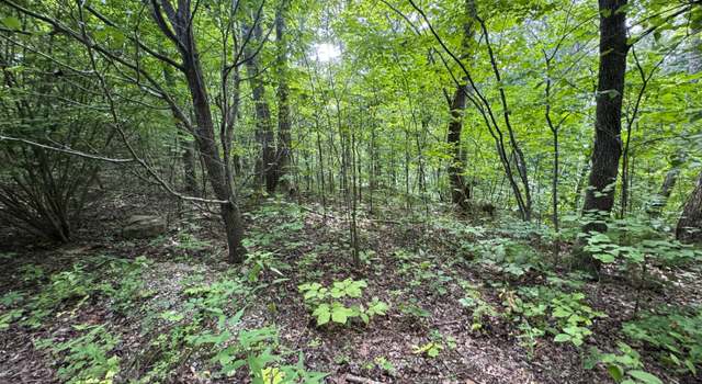 Photo of 1884 Woodland Way, Newport, TN 37821