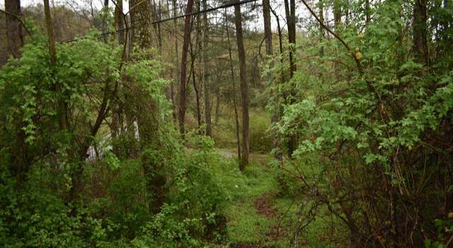 Photo of Buffalo Br, Pineville, KY 40977