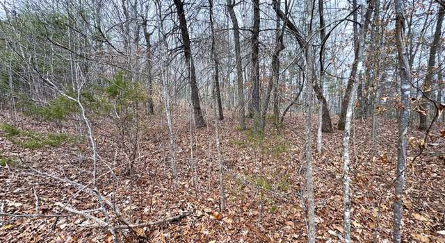 Photo of Lot 45 Zuni Way, Del Rio, TN 37727