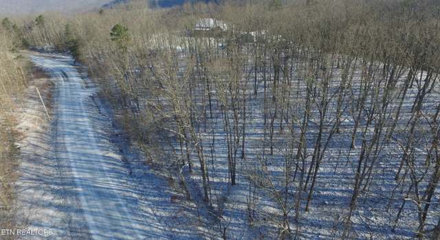 Photo of Bear Knob Rd, Crawford, TN 38554