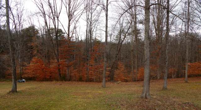 Photo of 127 Regan Ln, TN 37766