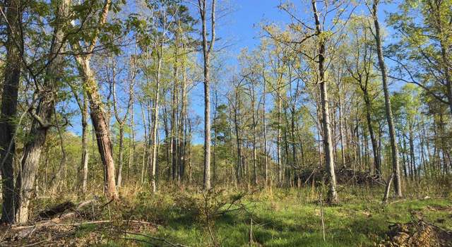 Photo of Bench Rd. 34.97 Acres, Pikeville, TN 37367