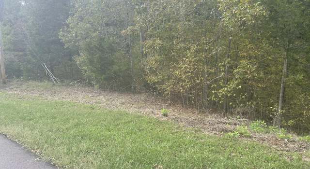 Photo of Lot 14 Spotted Fawn Ln, Dandridge, TN 37725