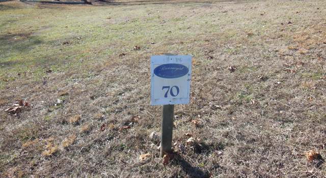 Photo of 140 Quail Hollow Cv, Spring City, TN 37381