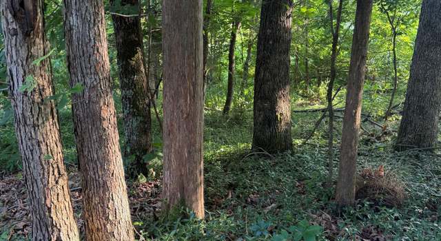 Photo of Lot 8 Catoosa Woods Dr, Lancing, TN 37770