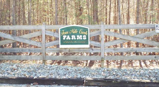 Photo of Tract 10 George Dr, Deer Lodge, TN 37726
