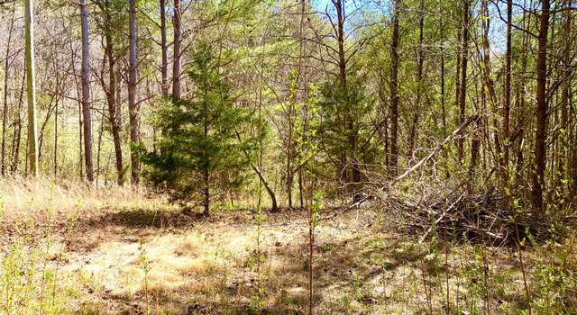 Photo of 396 Beulah Rd, Tellico Plains, TN 37385