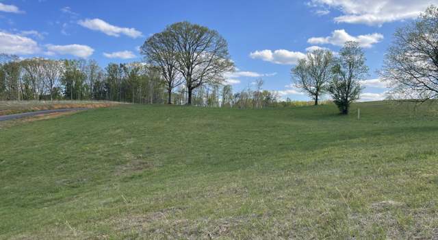 Photo of Lot 4 Laura Boling Loop Rd, Strawberry Plains, TN 37871