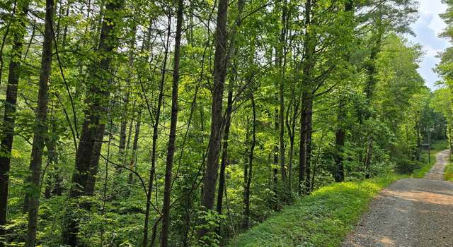 Photo of Towee Mountain Dr, Reliance, TN 37369
