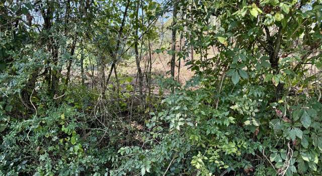 Photo of Cherokee Cir, Tazewell, TN 37879