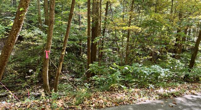 Photo of 1875 Dyer Hollow Rd, Mohawk, TN 37810