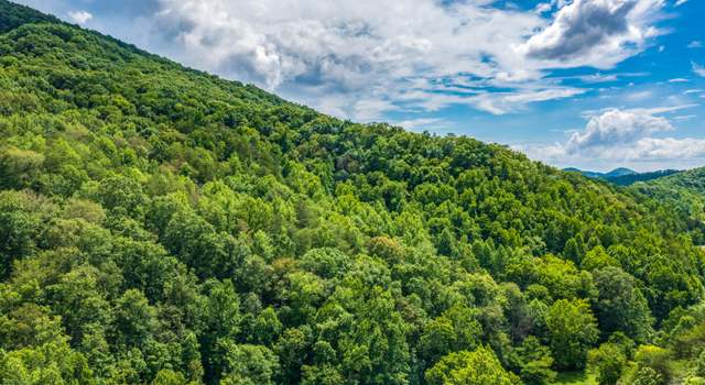 Photo of Spruce Pine (330 Acres) Rd, Mooresburg, TN 37811