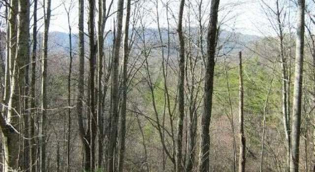 Photo of 0 Faith Mtn Rd, Hartford, TN 37753
