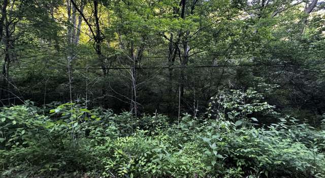 Photo of Highway 61 East, Luttrell, TN 37779