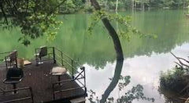 Photo of 468 Straight Branch Rd, Speedwell, TN 37870