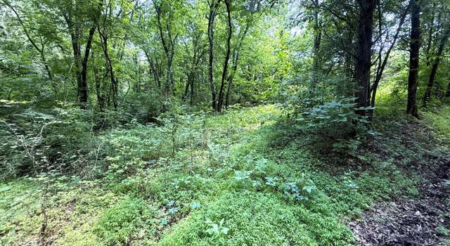 Photo of 3697 Sane Rd, Parrottsville, TN 37843