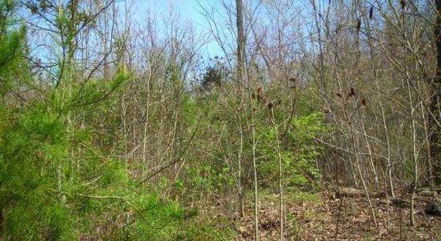 Photo of Lot 54 Chestnut Hill Ln, Knoxville, TN 37924