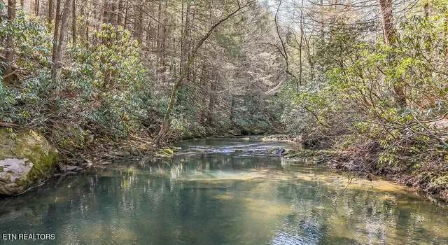 Photo of 460 Twin Bridge Rd, Deer Lodge, TN 37726