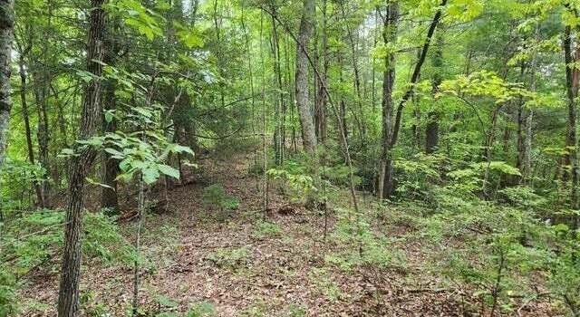 Photo of Pea Hollow Rd, Sevierville, TN 37876