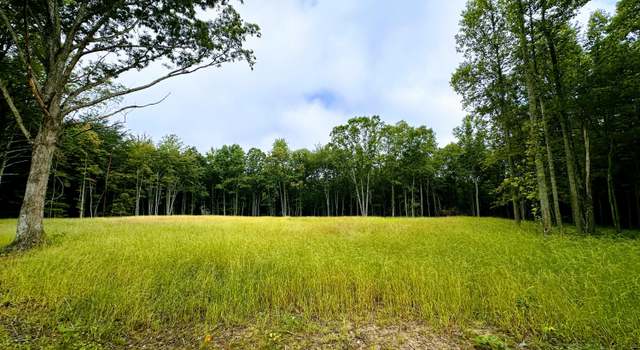 Photo of 89.5 Ac Mose Beaty Rd, Jamestown, TN 38556