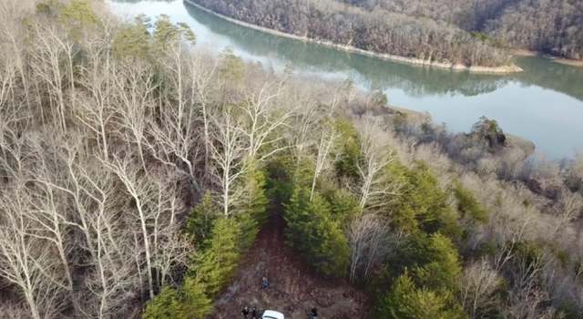 Photo of 350 Bluff View Rd, New Tazewell, TN 37825