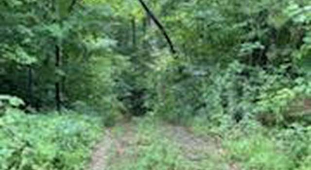 Photo of 4119 Forest Trail Dr, Sevierville, TN 37876